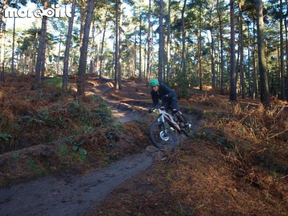 Chicksands Bike Park
