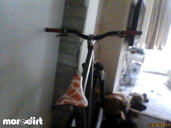 Lee Quarry Mountain Bike Trails