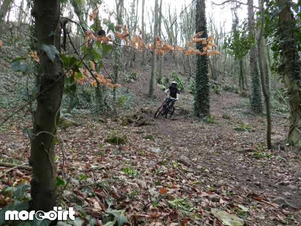 Leckhampton Hill Trails