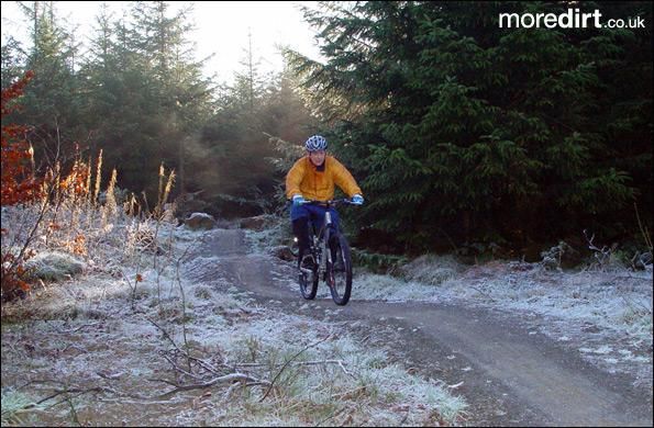 Gorlech Trail - Brechfa