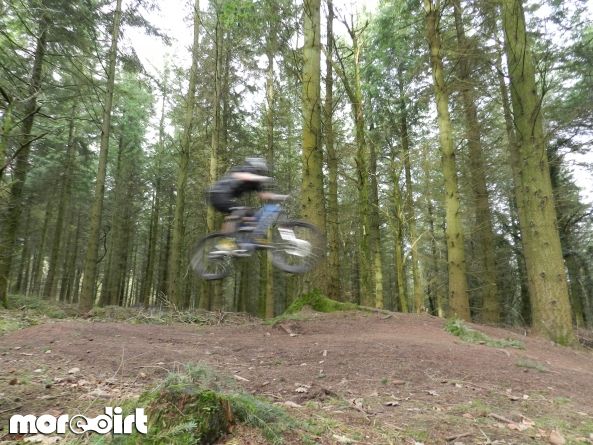 Downhill Trails - Forest of Dean