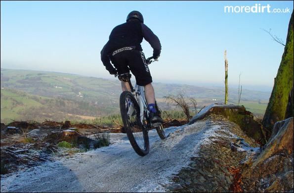 Gorlech Trail - Brechfa