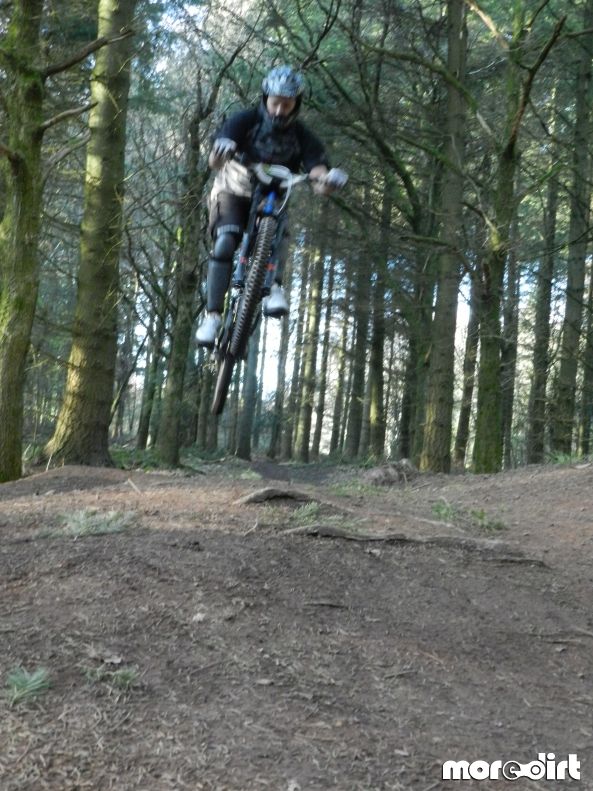 Downhill Trails - Forest of Dean
