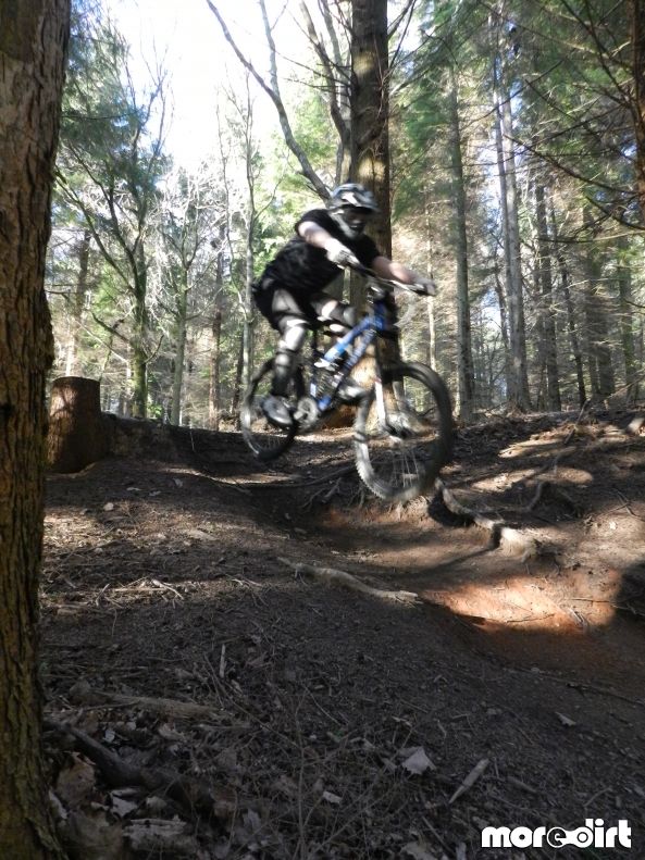 Downhill Trails - Forest of Dean