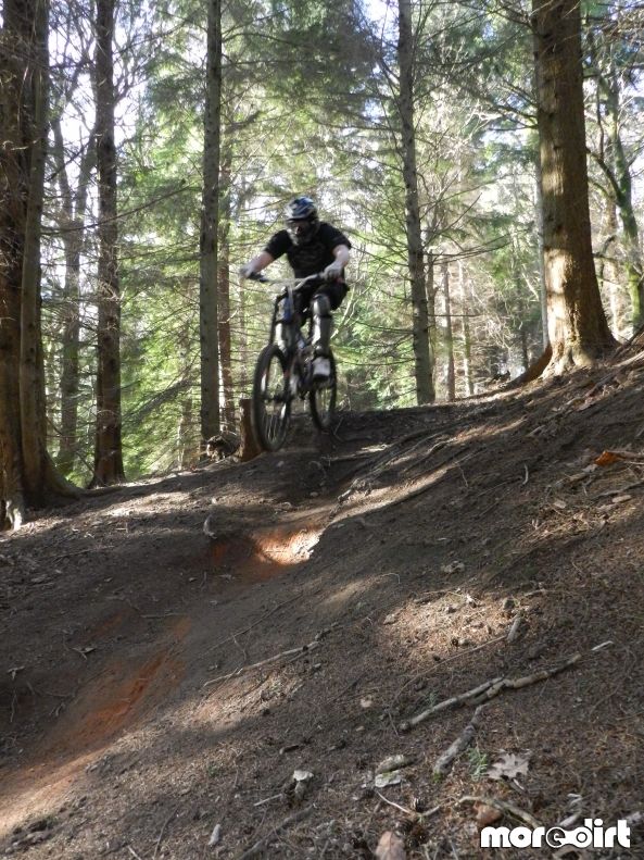 Downhill Trails - Forest of Dean