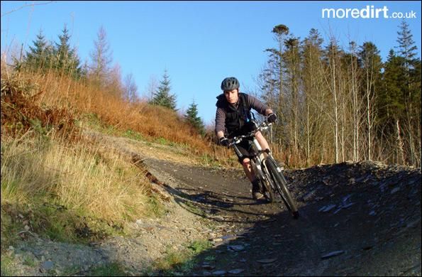 Gorlech Trail - Brechfa