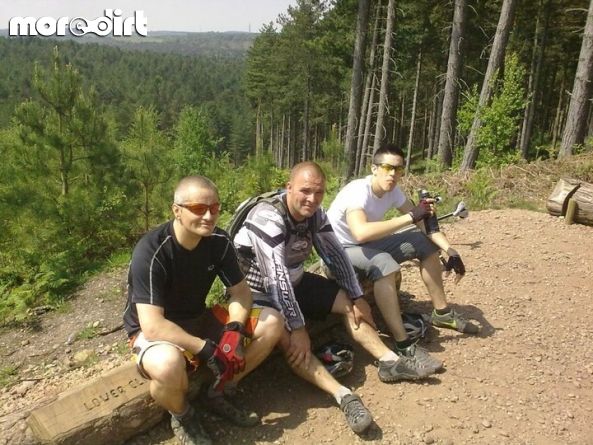 Follow the Dog Trail - Cannock Chase