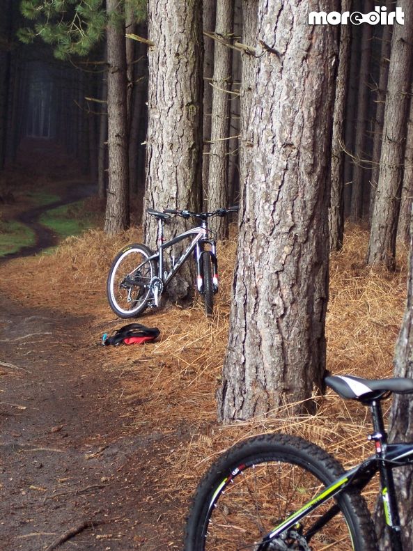 Beater Trail - Thetford Forest