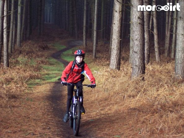 Beater Trail - Thetford Forest