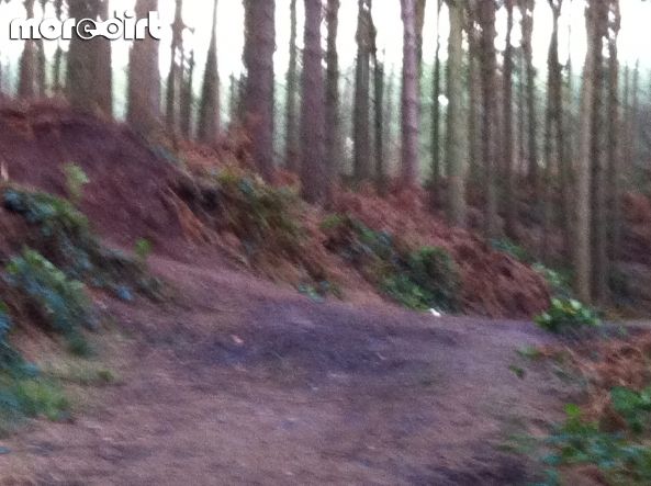Delamere Forest Mountain Bike Trails
