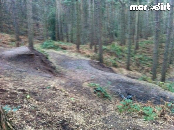 Delamere Forest Mountain Bike Trails
