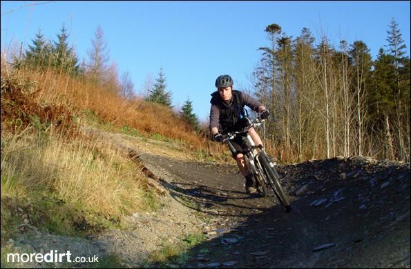 Gorlech Trail - Brechfa