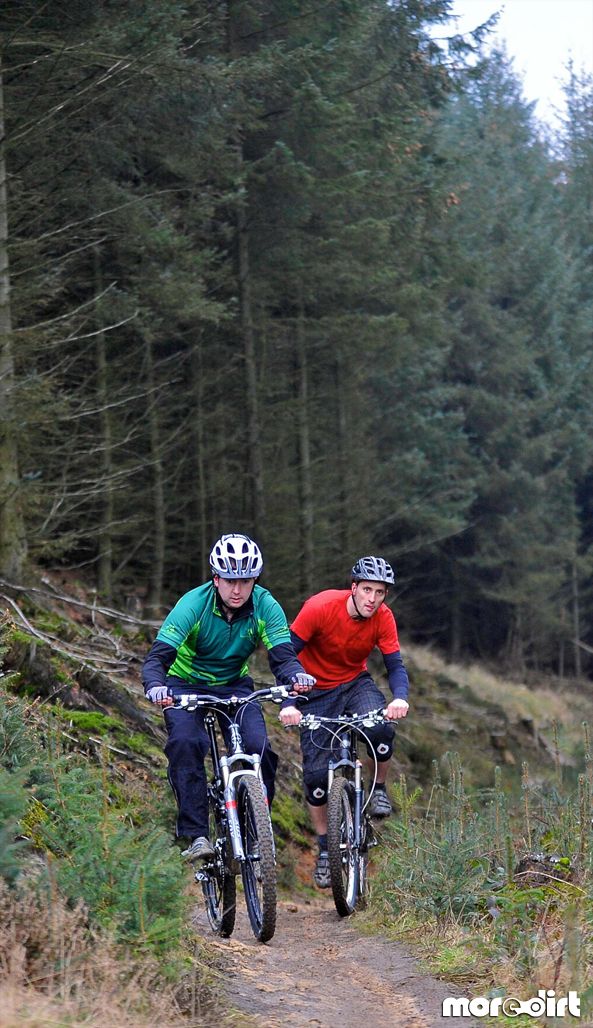 Dalby Forest Red Trail