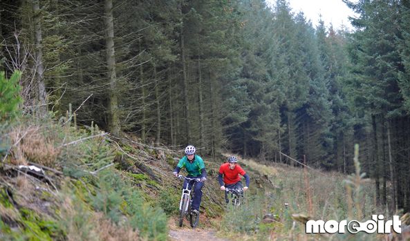 Dalby Forest Red Trail