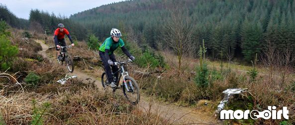 Dalby Forest Red Trail