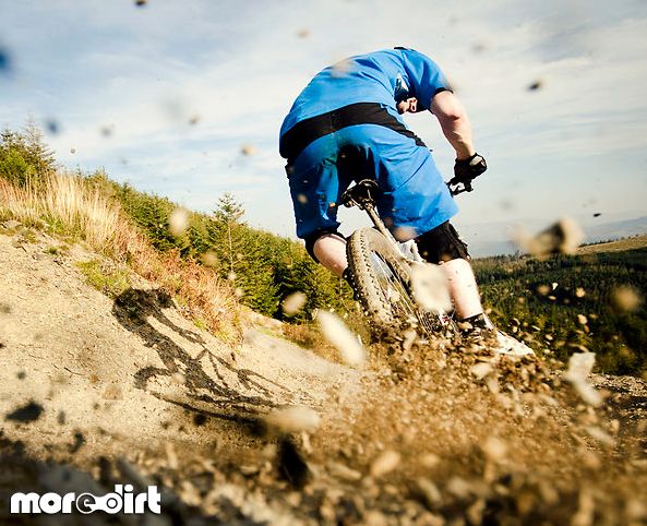 Altura Trail - Whinlatter Forest