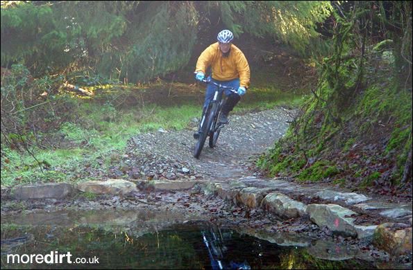 Gorlech Trail - Brechfa