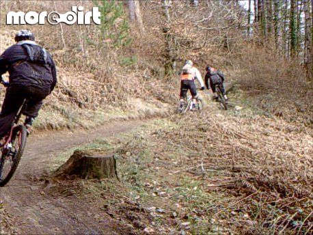 The Wall Trail - Afan Forest