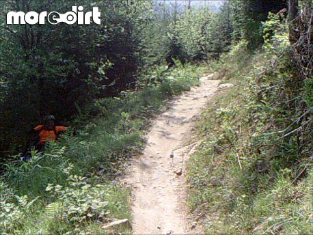 The Wall Trail - Afan Forest