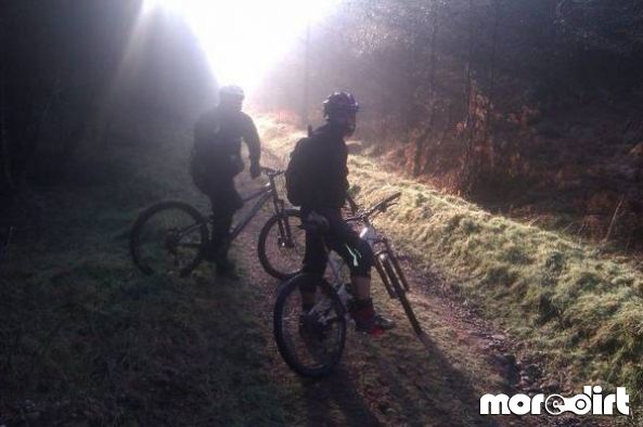 Monkey Trail - Cannock Chase