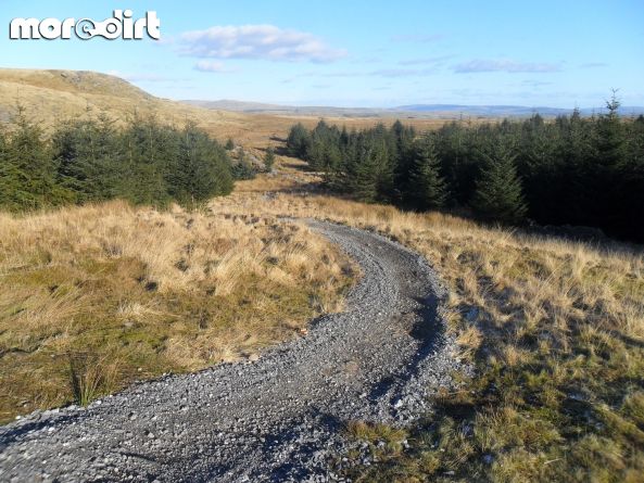 Gisburn Forest Mountain Bike Trails