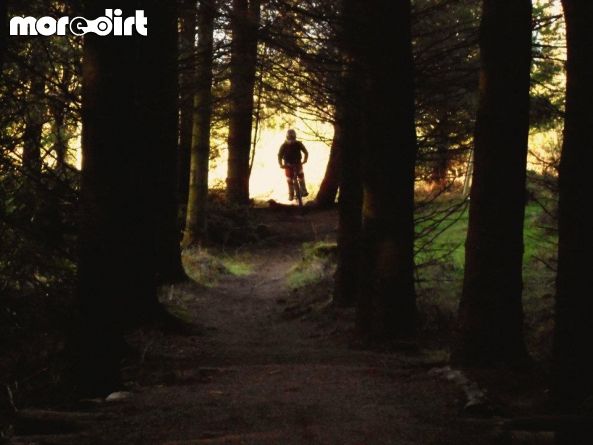 Triscombe Mountain Bike Trails