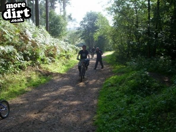 Delamere Forest Mountain Bike Trails