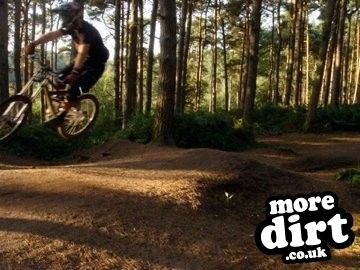 Delamere Forest Mountain Bike Trails
