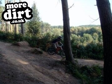 Delamere Forest Mountain Bike Trails
