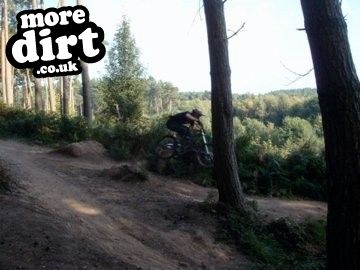 Delamere Forest Mountain Bike Trails