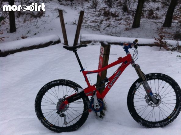 Monkey Trail - Cannock Chase