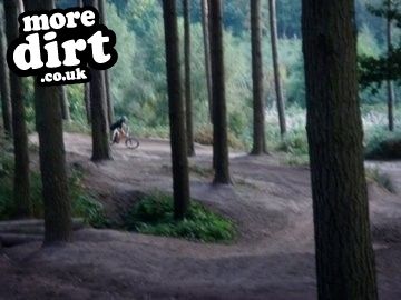Delamere Forest Mountain Bike Trails