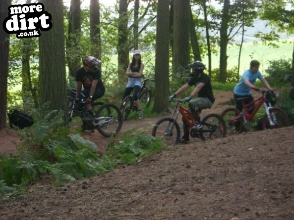 Delamere Forest Mountain Bike Trails