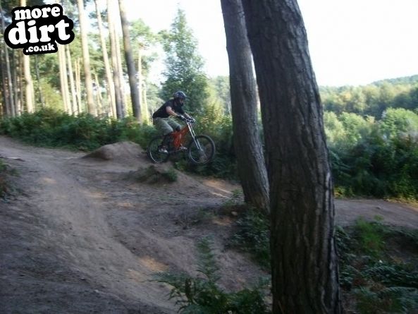 Delamere Forest Mountain Bike Trails