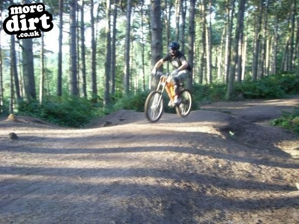 Delamere Forest Mountain Bike Trails