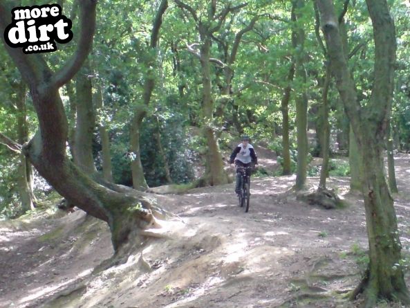 The Wrekin & Ercall Trails