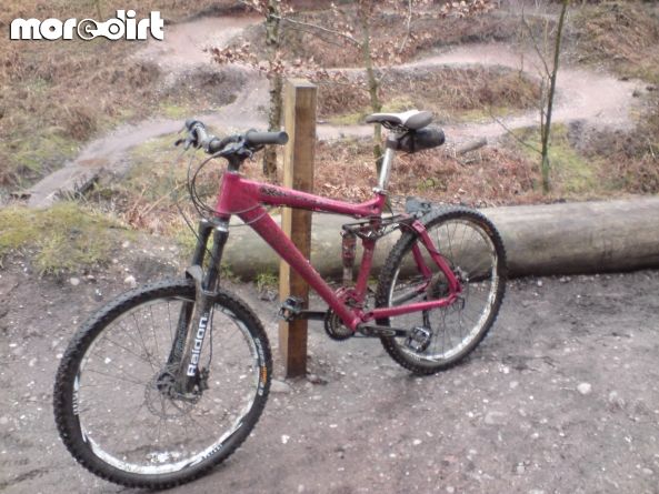 Follow the Dog Trail - Cannock Chase