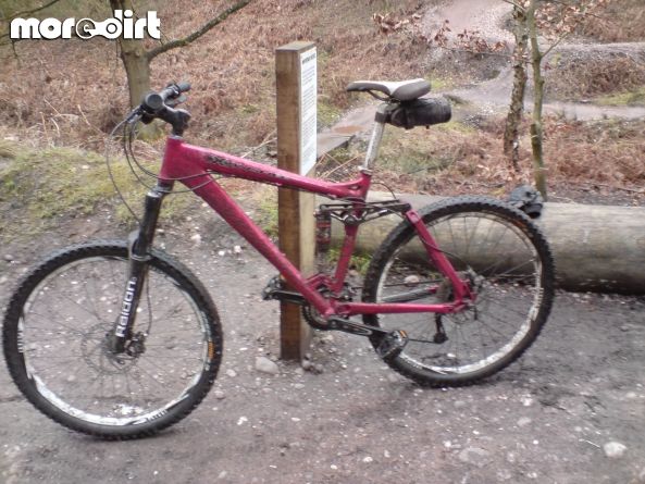 Follow the Dog Trail - Cannock Chase