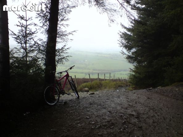 Red Trail - Coed Llandegla Forest