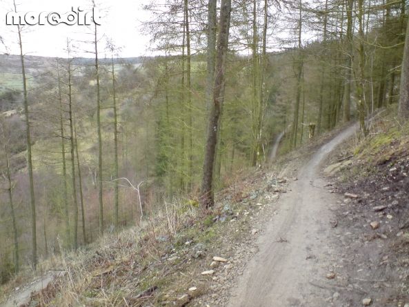 Red Trail - Coed Llandegla Forest