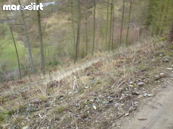 Red Trail - Coed Llandegla Forest