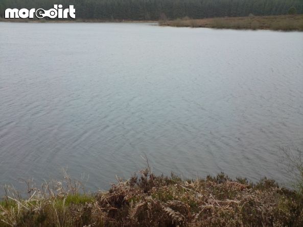 Red Trail - Coed Llandegla Forest