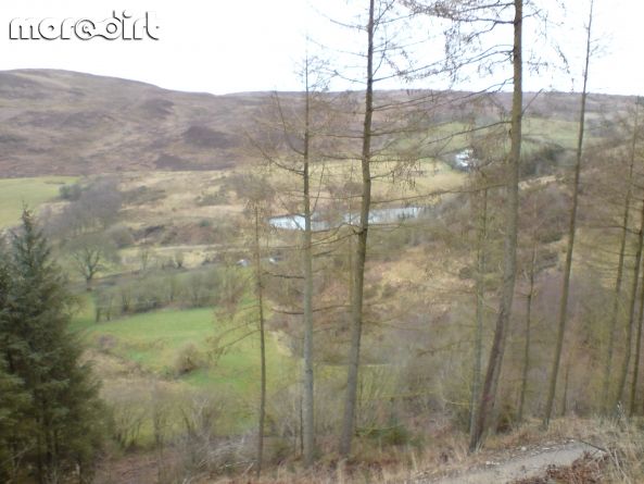 Red Trail - Coed Llandegla Forest