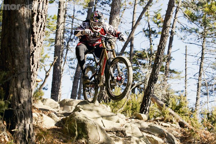 Santa Cruz Syndicate - San Romolo Testing