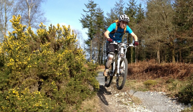 End of the blue long loop, little jump