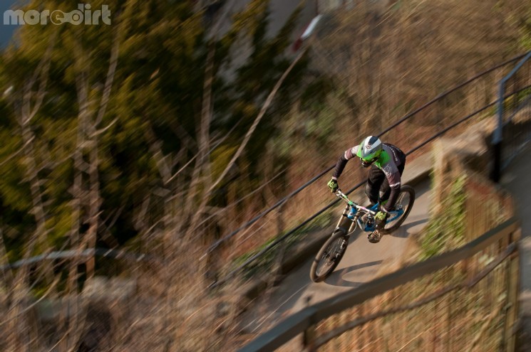 Ant riding the Steps