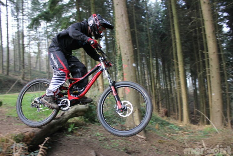 Haldon Forest DH Trails