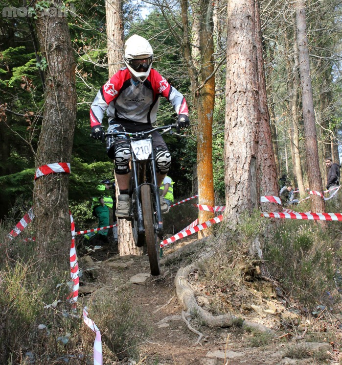 Woodland Riders - Tavistock