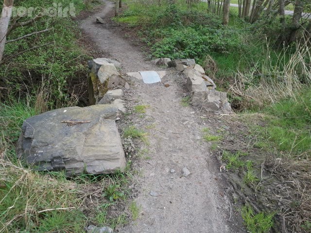 Craigavon Lakes Mountain Bike Trail