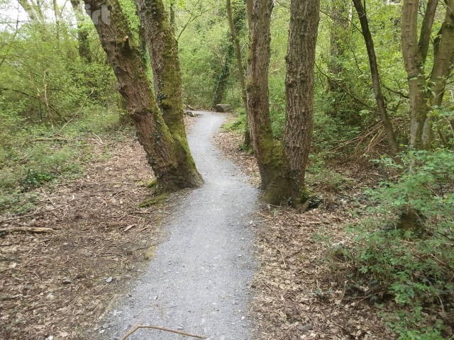 Craigavon Lakes Mountain Bike Trail